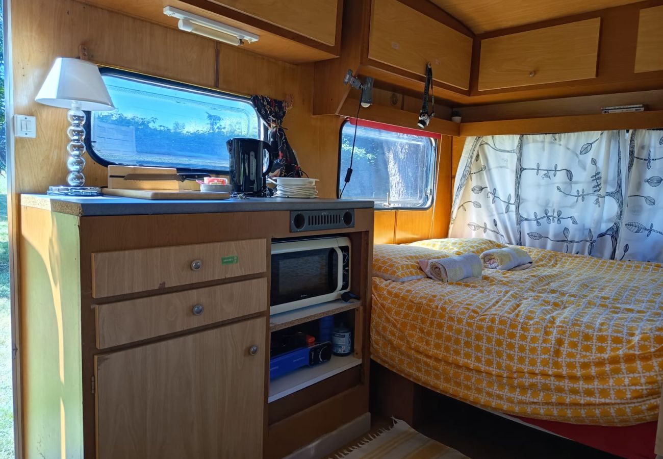Studio in Pannecé - Oasis Caravan at La Cormeraie