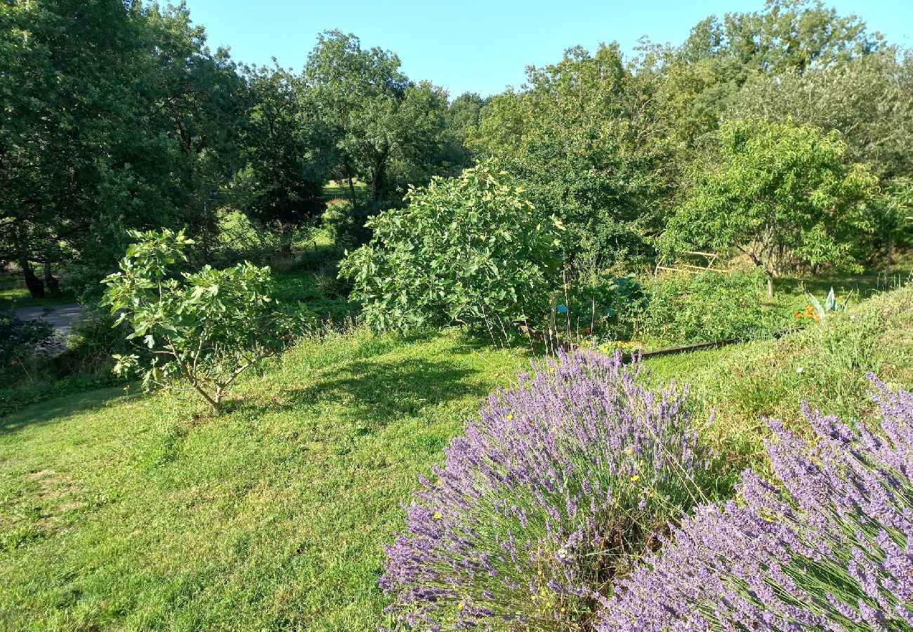 Maison à Oudon - maison famille vallée de la Loire et plage à 300m 