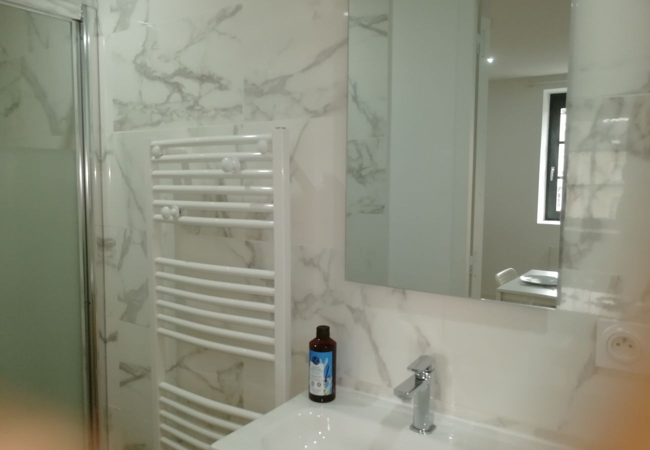 Appartement à Segré - T2 charmant - Hyper centre