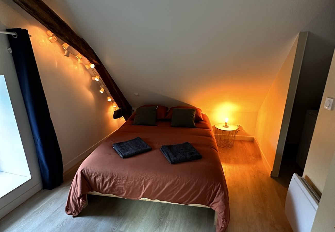 Appartement à Baugé - T2 atypique et chaleureux