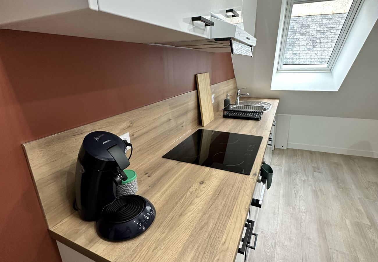 Appartement à Baugé - T2 atypique et chaleureux