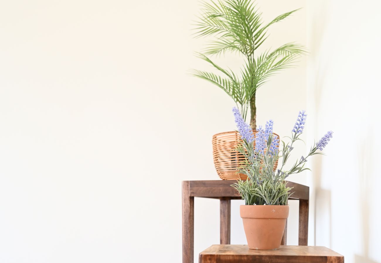 Maison à Aizenay - gîte de la rue du Chateau d'Aizenay 